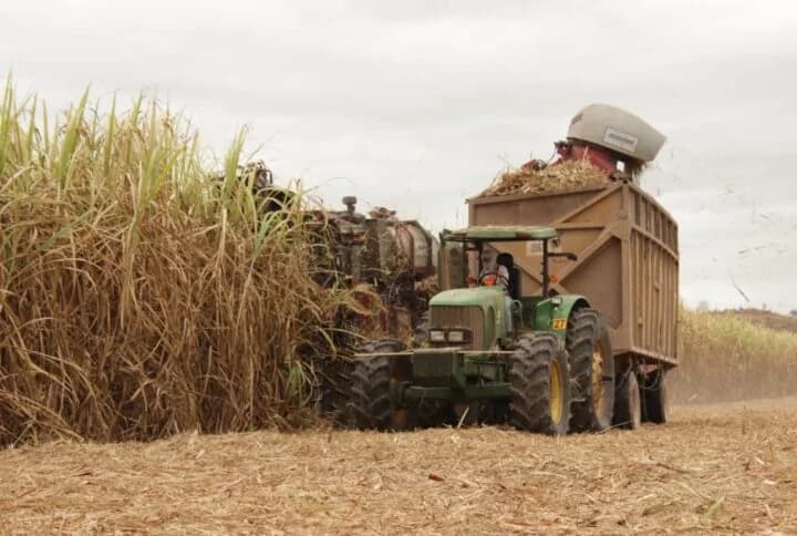 Tractor con remolque recolectando caña de azúcar junto a una cosechadora en Tres Valles