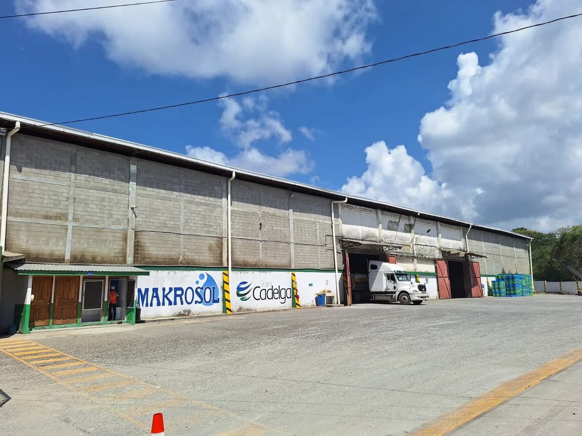 Área de carga de la bodega de Fertica con un camión frente al acceso