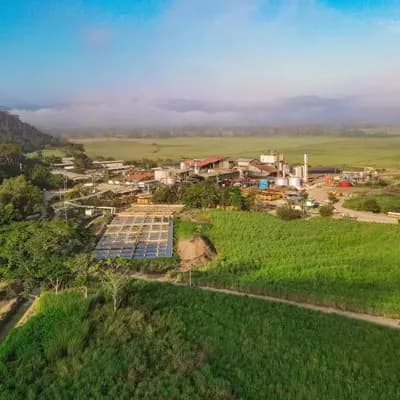 Vista aérea del ingenio rodeado de cañaverales